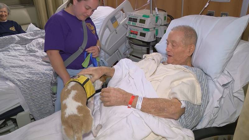 Freddie Carter, a cancer patient, enjoys visits from Milo, a therapy dog.