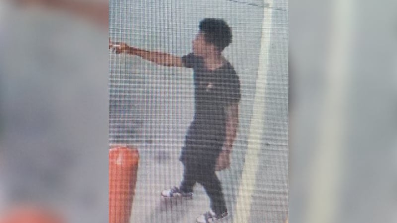 Man accused of snatching purse