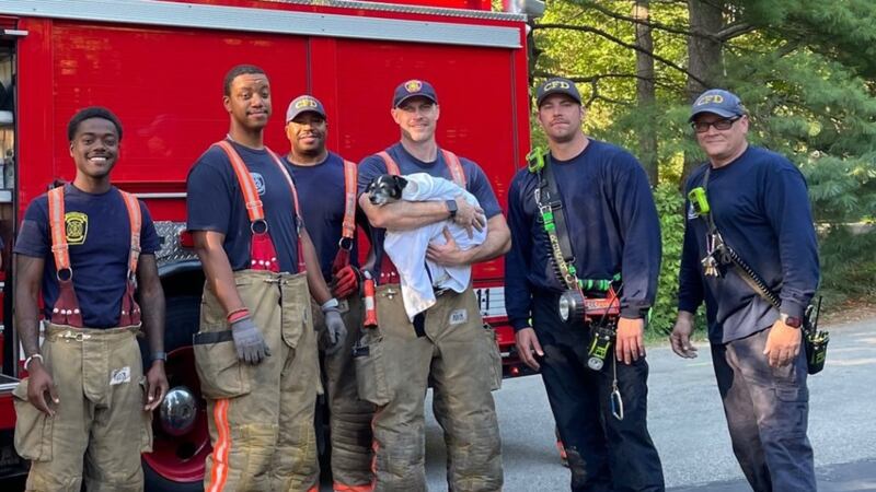 Firefighters in Cincinnati saved a puppy who got stuck in a drain pipe.