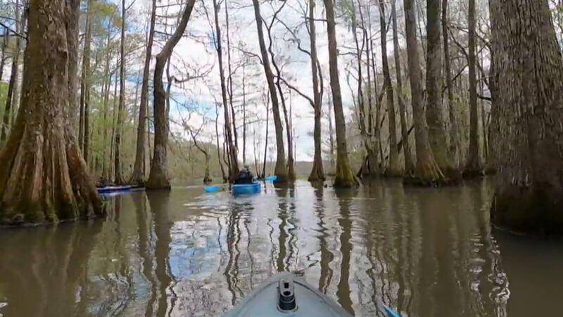Heart of Louisiana: Paddle Chicot