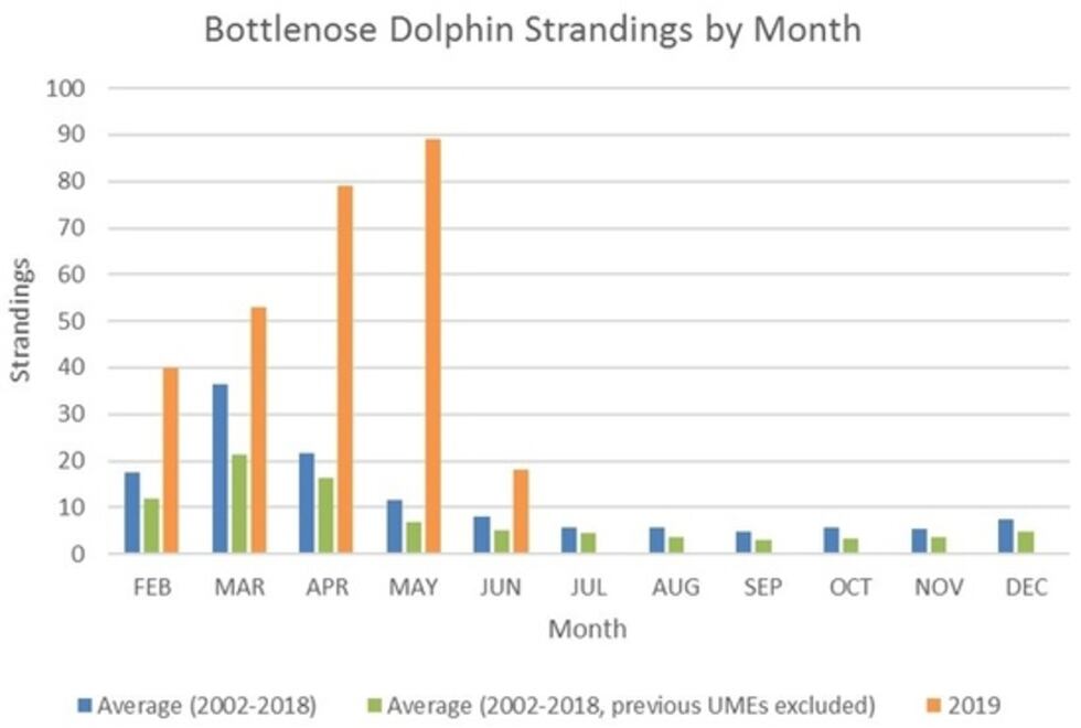 Comparison of 2019 monthly bottlenose dolphin strandings (orange) to the 17-year historical...