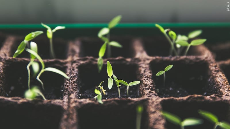 The goal of the event is to help the communities change their eating habits by changing their...