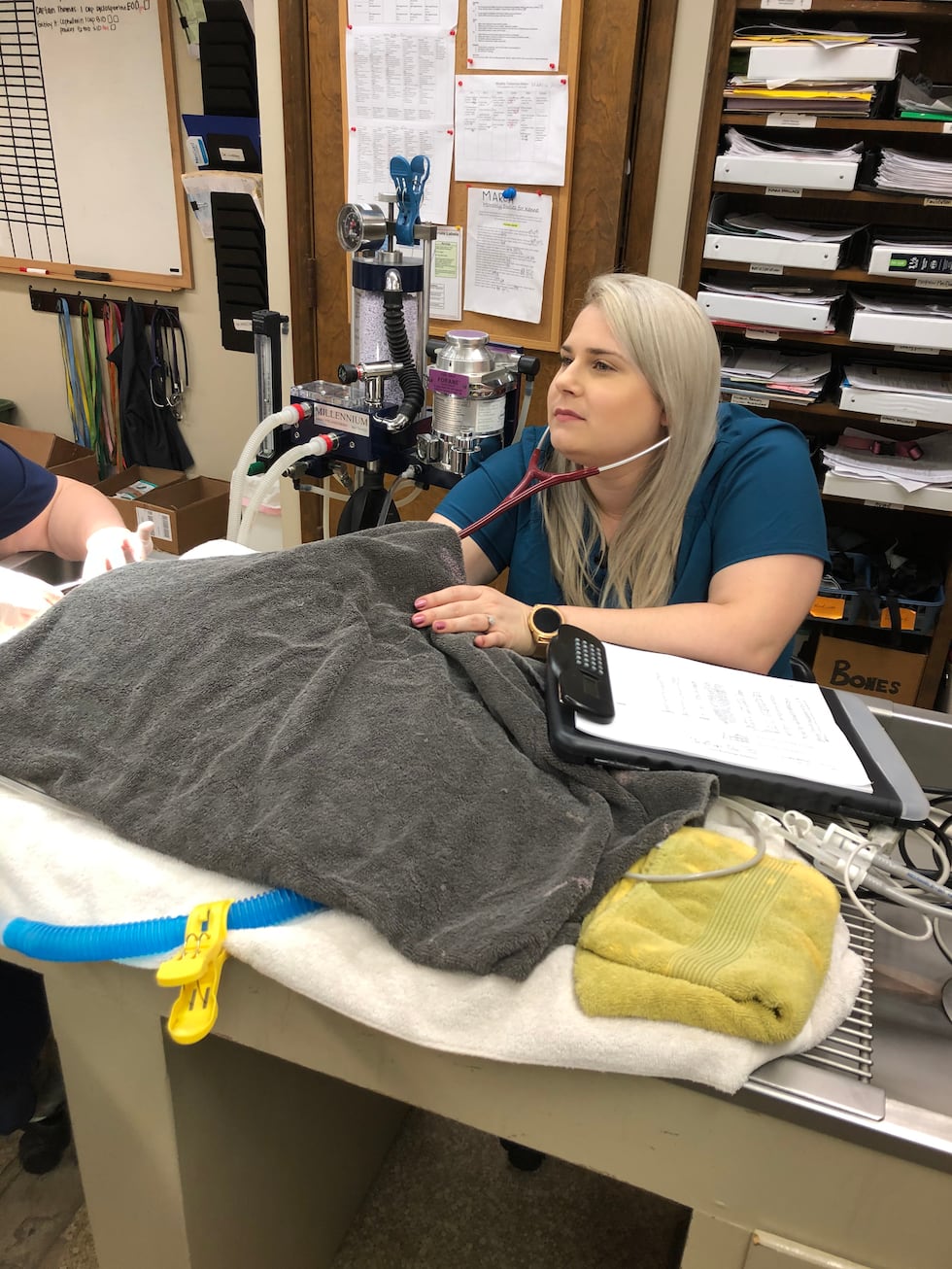 Animal hospitals in Baton Rouge are adjusting to the coronavirus pandemic by limiting contact...