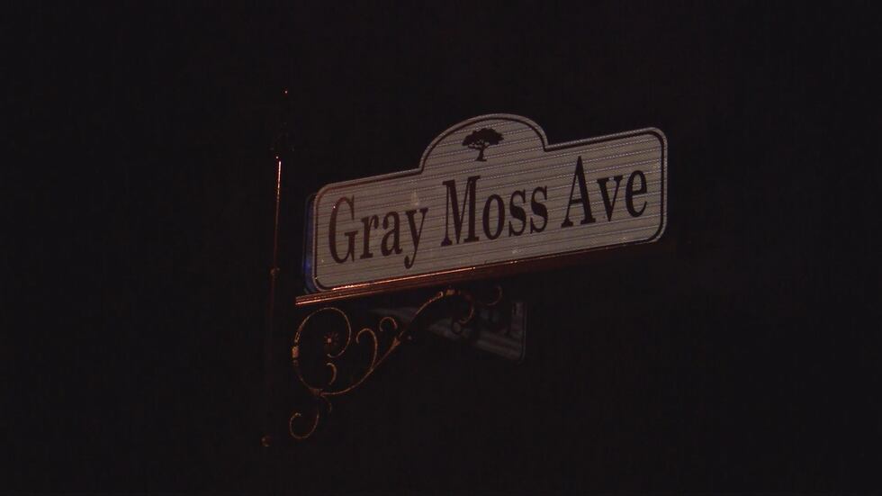 One man was seriously injured during a domestic shooting on Gray Moss Avenue.