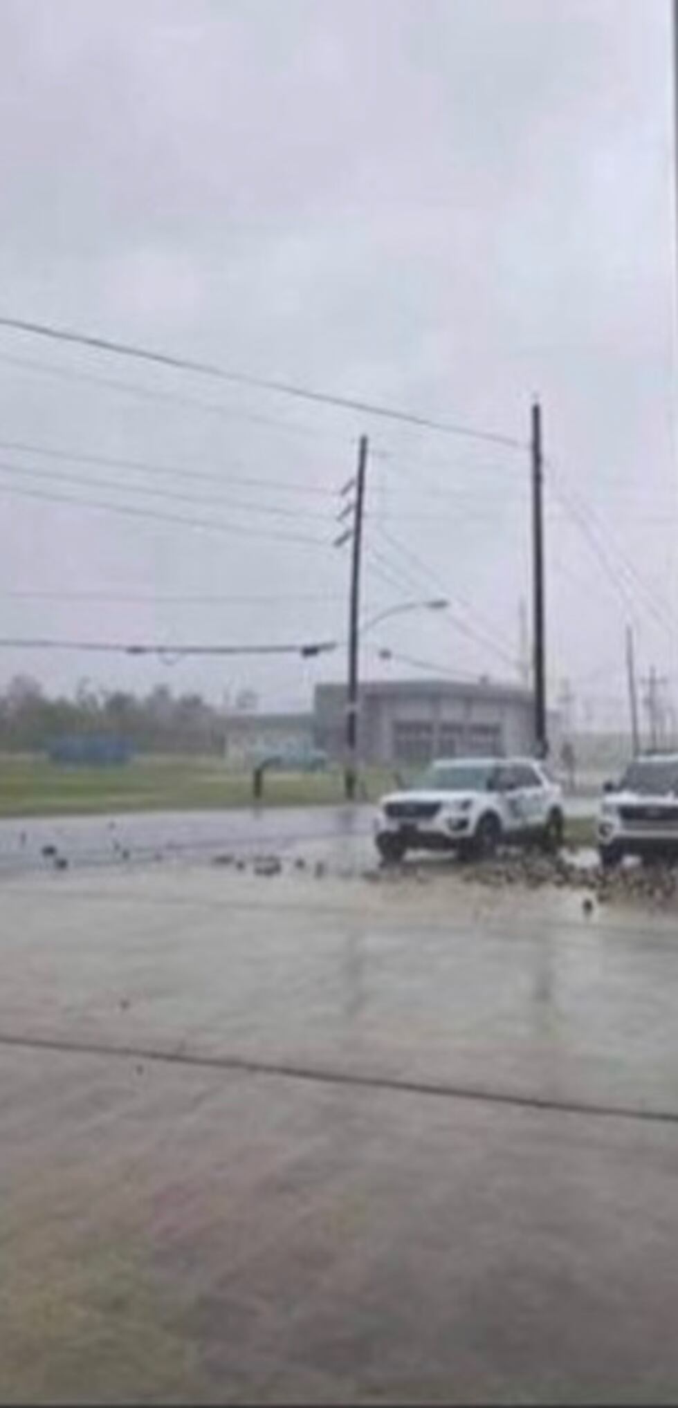 Major transmission tower collapses in Jefferson Parish; before and after.