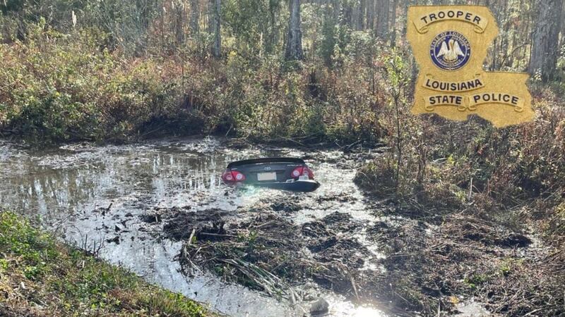 A good Samaritan saved a family from drowning after a car crashed into a canal in Assumption...