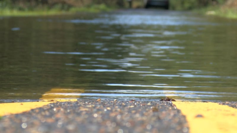 Allen Parish