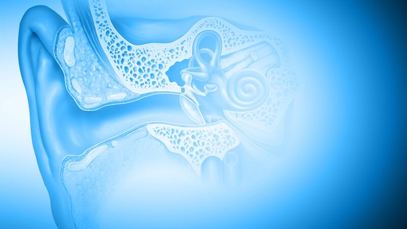 Researchers found COVID can infect the inner ear, including hearing loss.