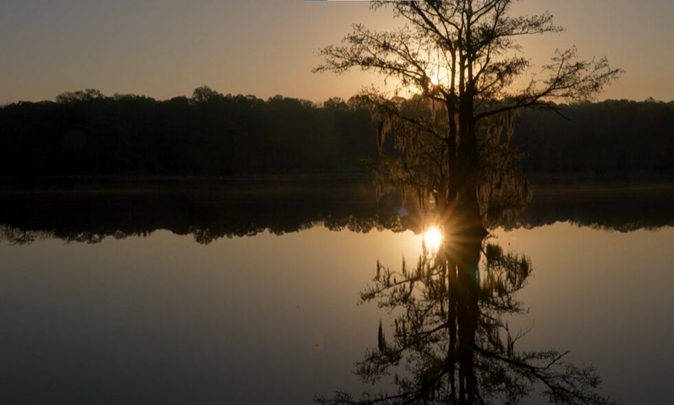 It’s Louisiana’s largest state park, and it also has one of the state’s longest hiking trails....