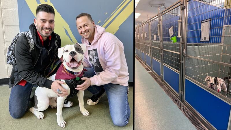 The shelter shared an update on Facebook, saying Elvis was going home with a local couple,...