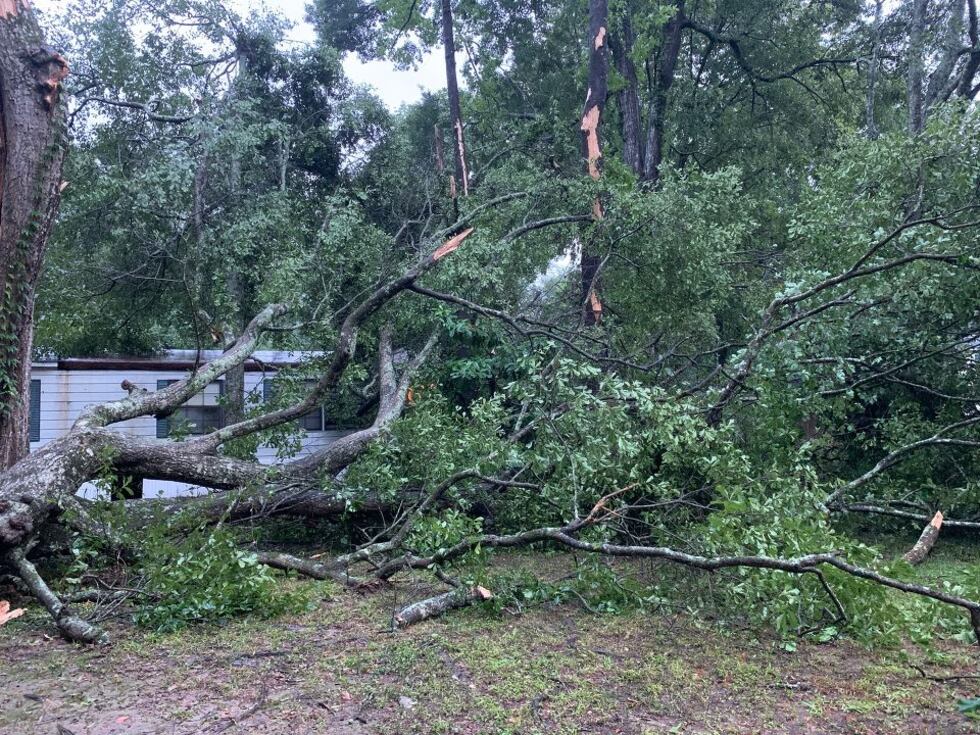 Tree down in Crystal Place mobile home lot in Central, La. due to heavy storms Wednesday, June...