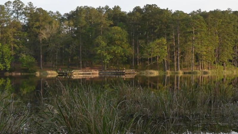Heart of Louisiana: Valentine Lake