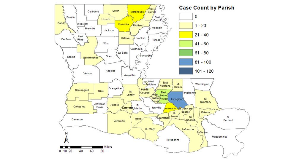 Source: Louisiana Department of Health