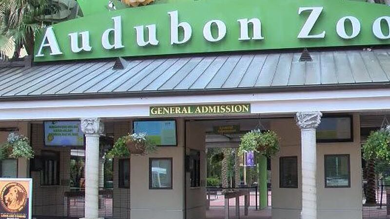 The Audubon Nature Institute is battling a financial crisis due to the COVID-19 pandemic....