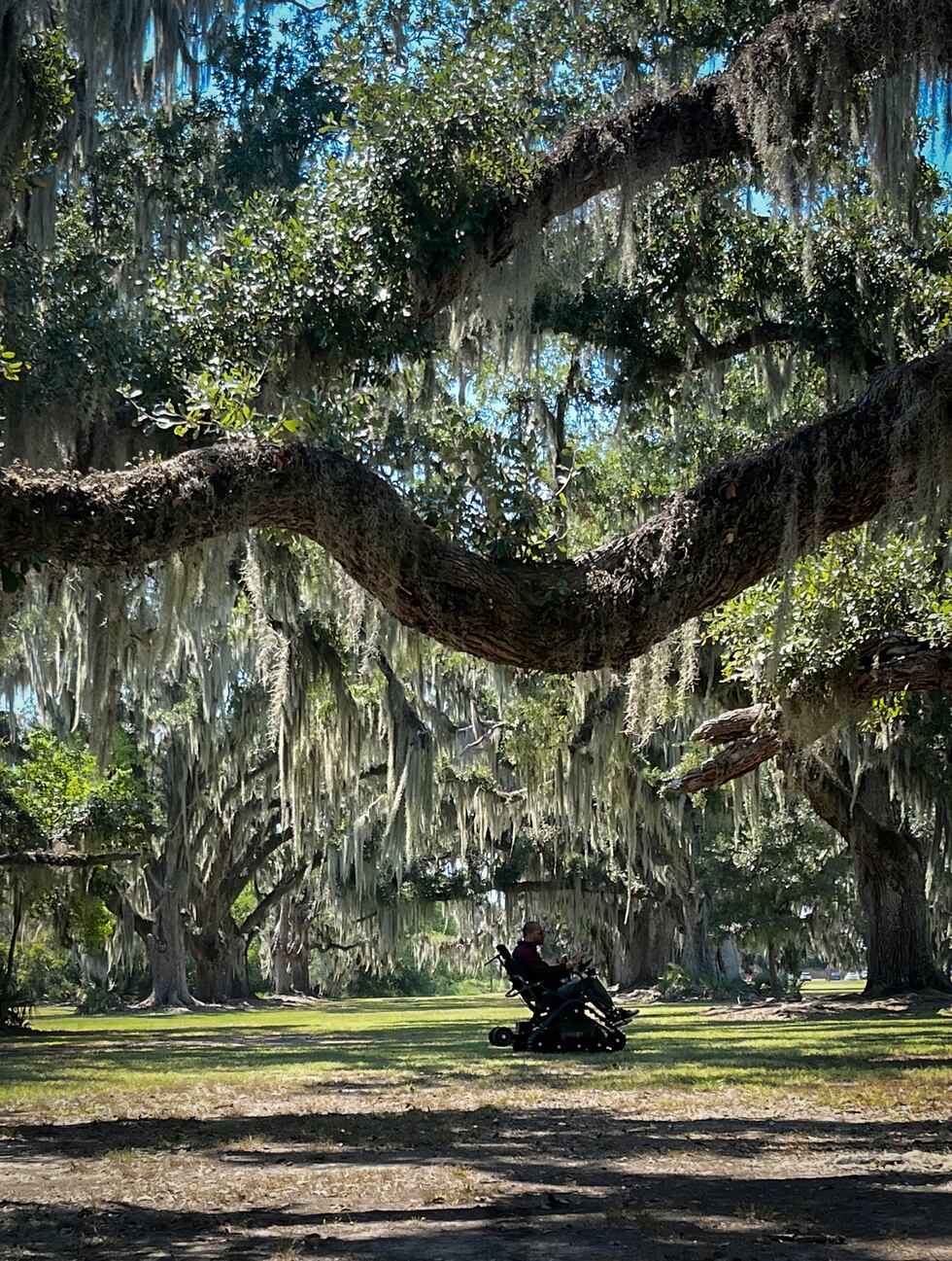 Specially-designed chairs allow everyone the ability to experience the beauty of Louisiana...