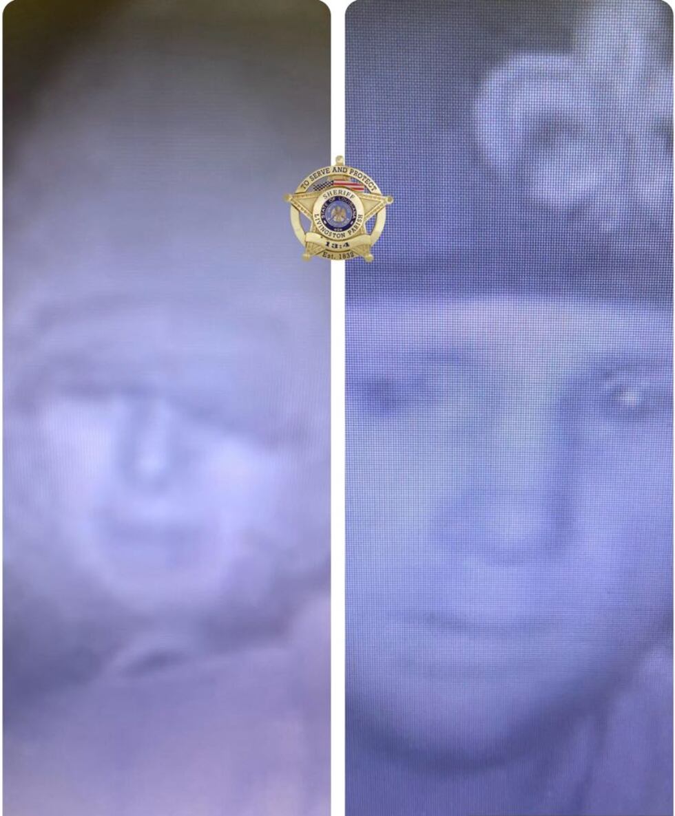 According to a Facebook post from deputies, the pair allegedly burglarized a home south of...